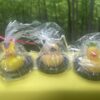 Duck Soap
